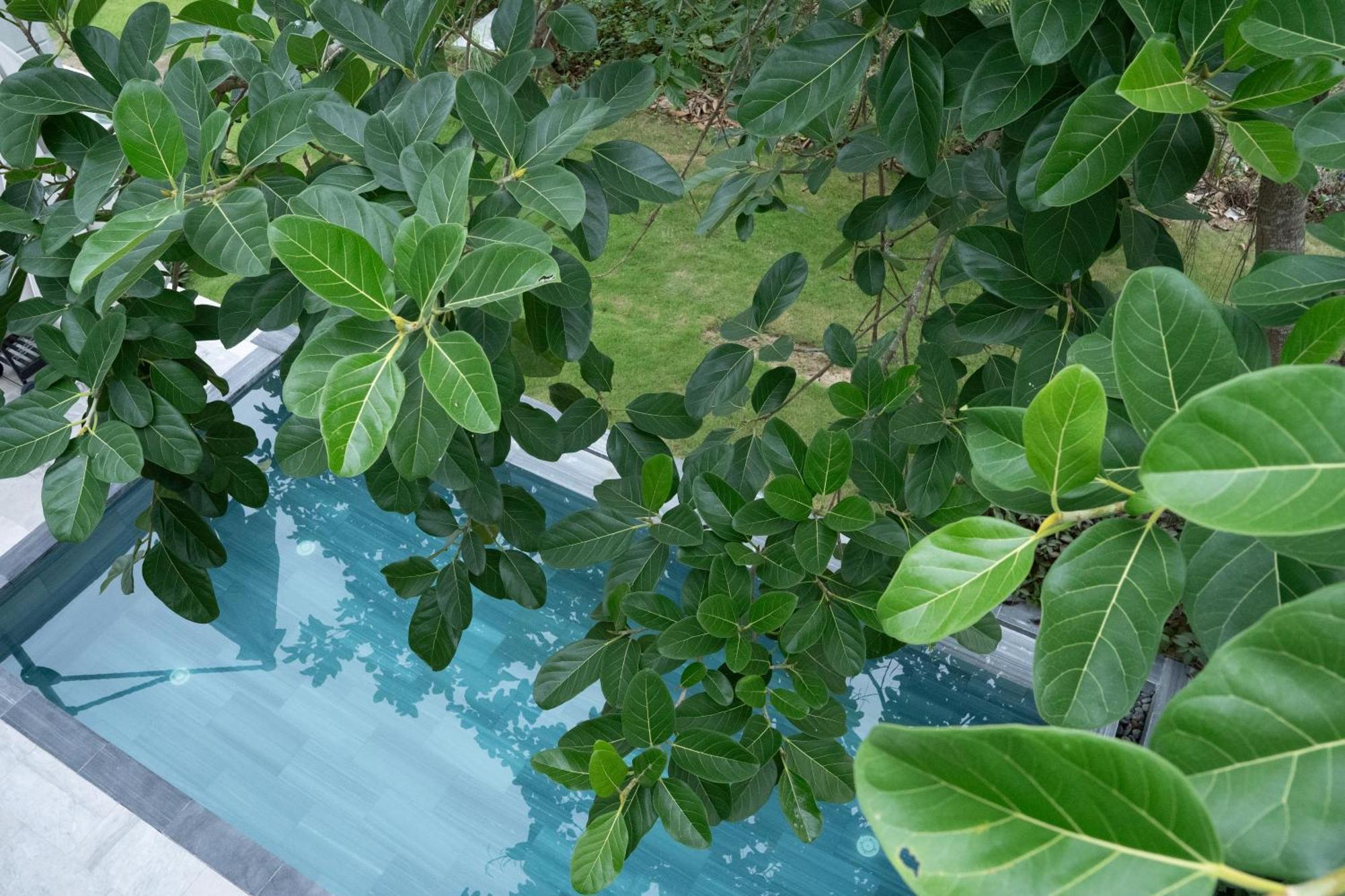 "Brg Golf Club" - Danang Private Pool Villa 3 Bedrooms #1 Екстериор снимка